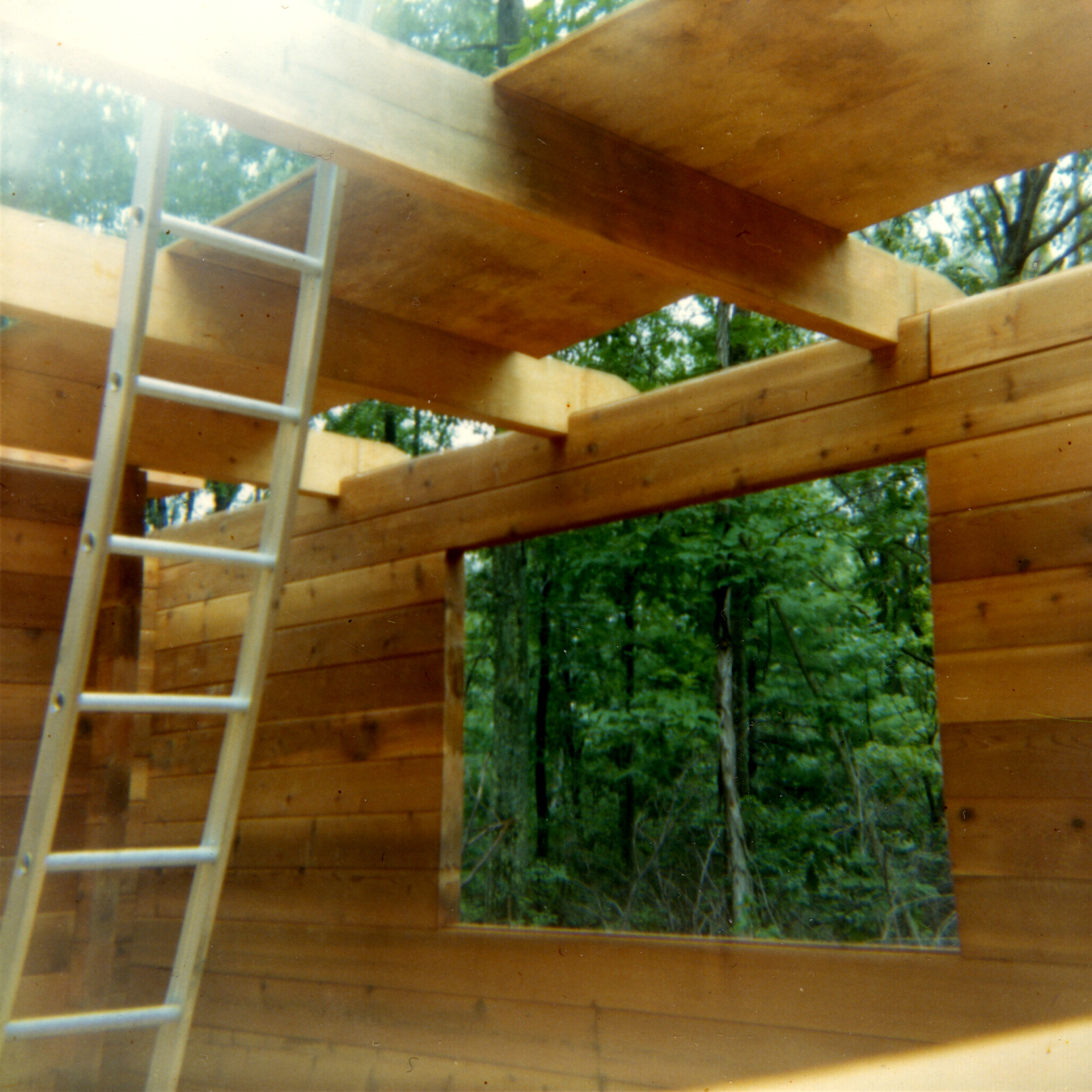 Cedar Halls Walls Going Up