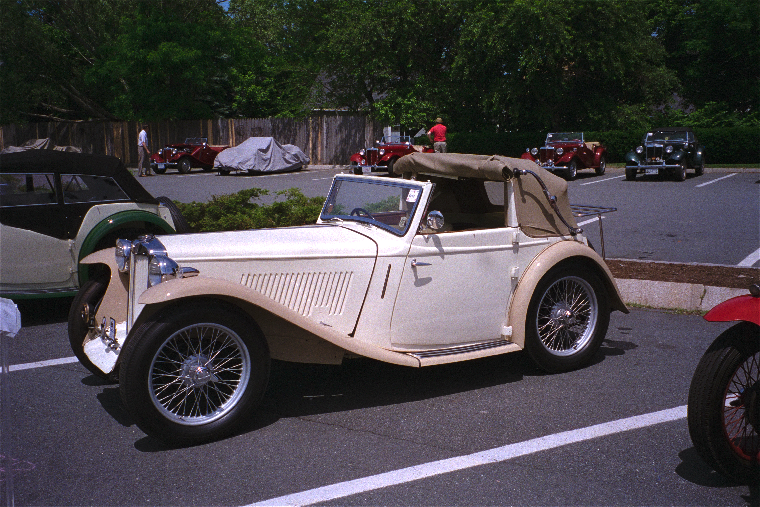 IMG7076 TA Tickford: By Me, Best in Show